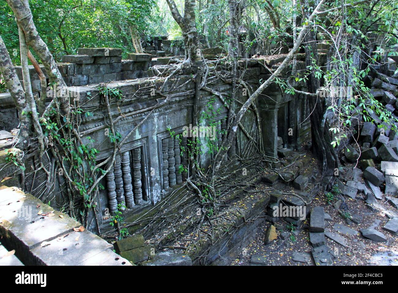Cambodia temple ruin jungle dusk hi-res stock photography and images ...
