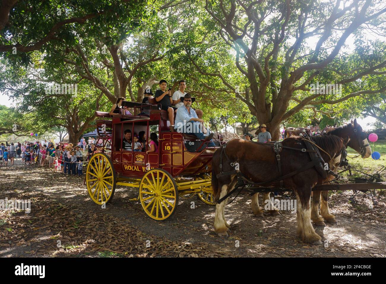 People lining up to ride on the restored vintage Australian red Cobb ...