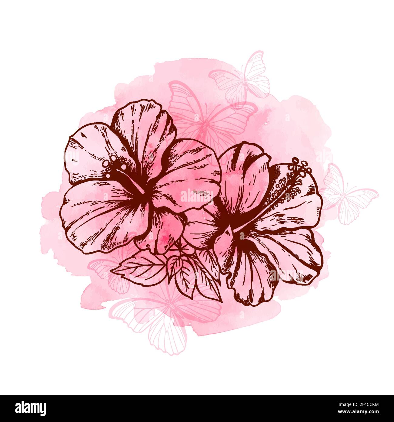 Abstract floral background with hibiscus flowers, butterflies and pink watercolor texture. Abstract floral background with hibiscus flowers Stock Vector