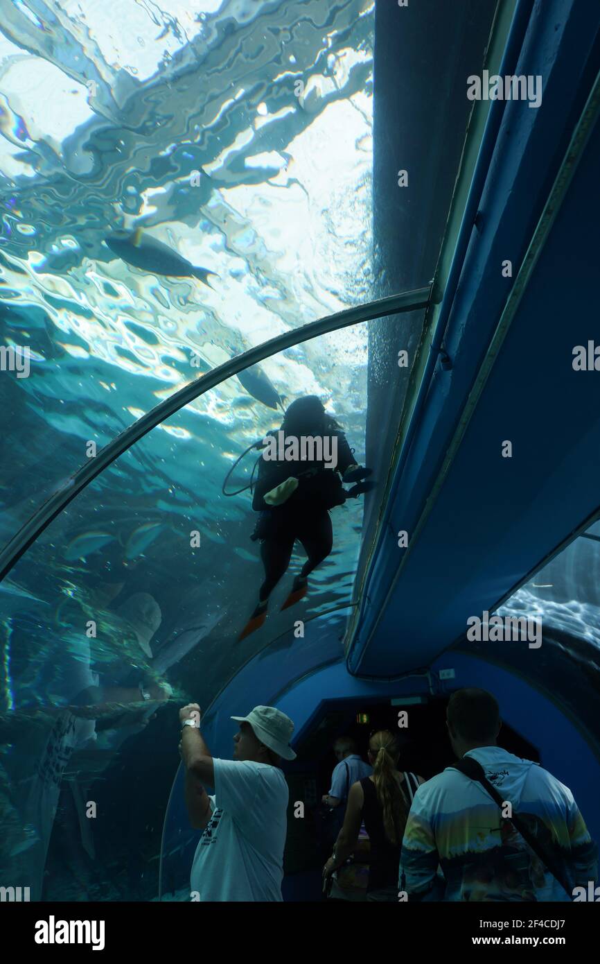 Tourists visiting the aquarium in Townsville, Queensland, Australia