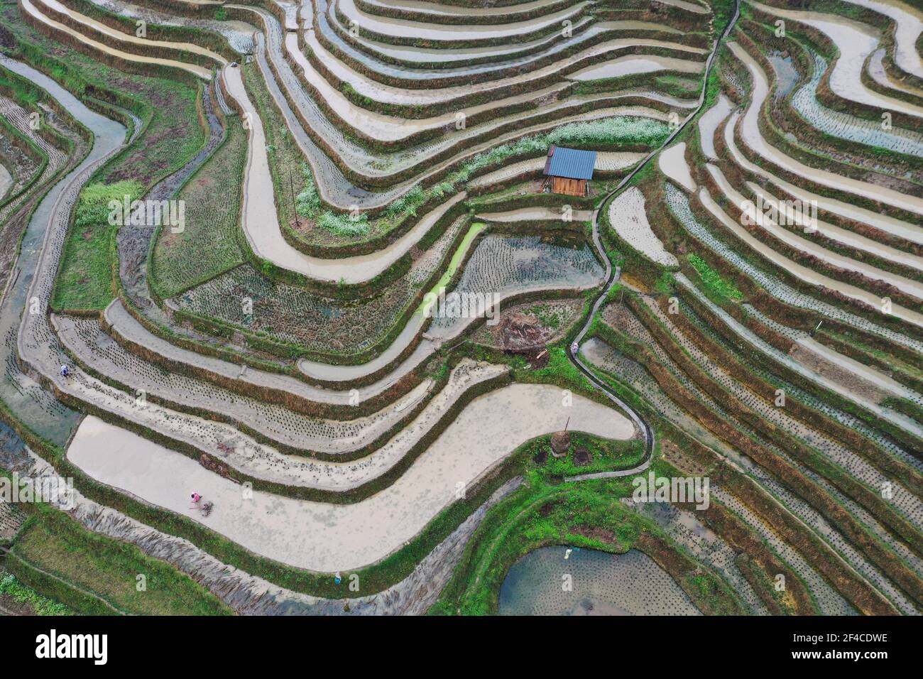 CONGJIANG, CHINA - MARCH 20, 2021 - Aerial photo taken on March 20 ...
