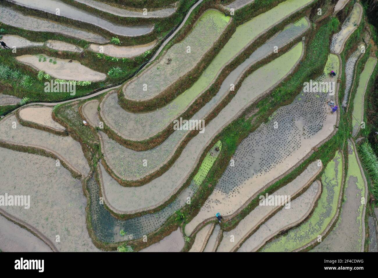 CONGJIANG, CHINA - MARCH 20, 2021 - Aerial photo taken on March 20 ...