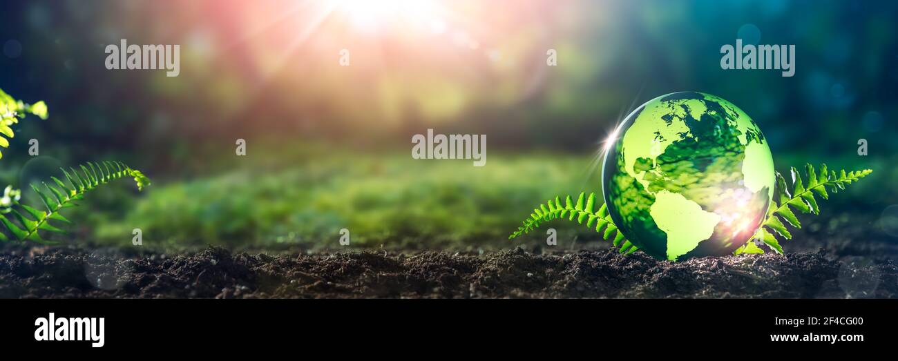 Crystal Earth On Soil In Forest With Ferns And Sunlight - Environment / Earth Day Concept Stock Photo