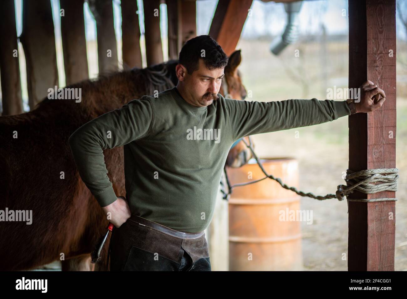 Man is taking a break after putting on shoe on several horses Stock Photo