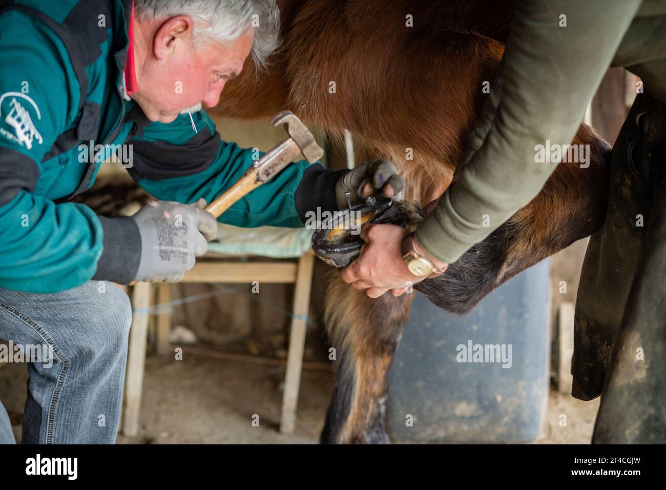 Horse shoe nails hires stock photography and images Alamy