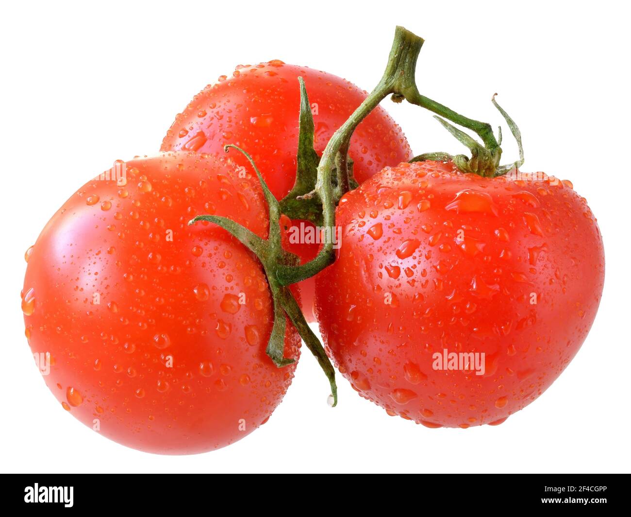 Three tomato on branch isolated on white background Stock Photo - Alamy