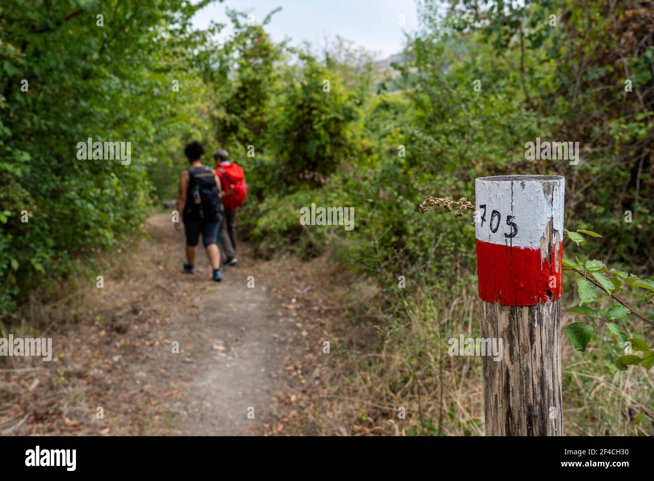 Two women hiking in the Parco regionale della vena del gesso romagnola. Brisighella, Borgo Rivola, Borgo Tossignano. Emilia Romagna, Italy, Europe. Stock Photo