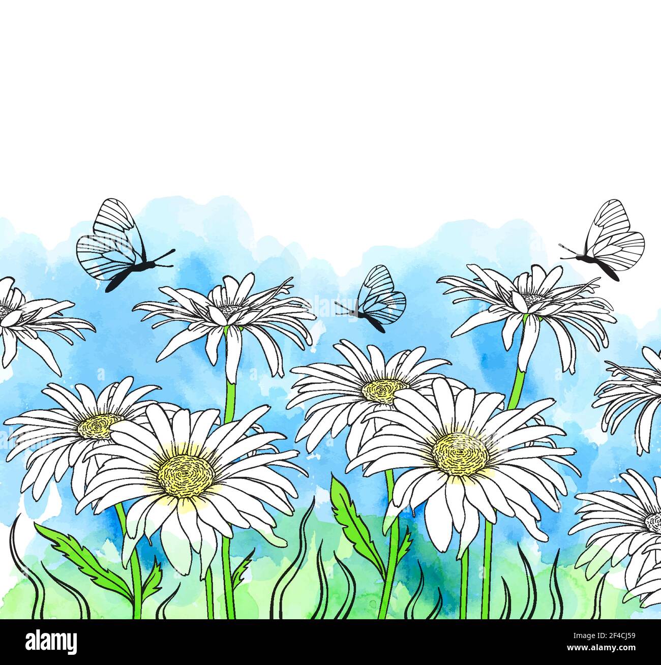 Chamomile flowers and butterfly on a blue watercolor background. Hand drawn vector illustration Stock Vector