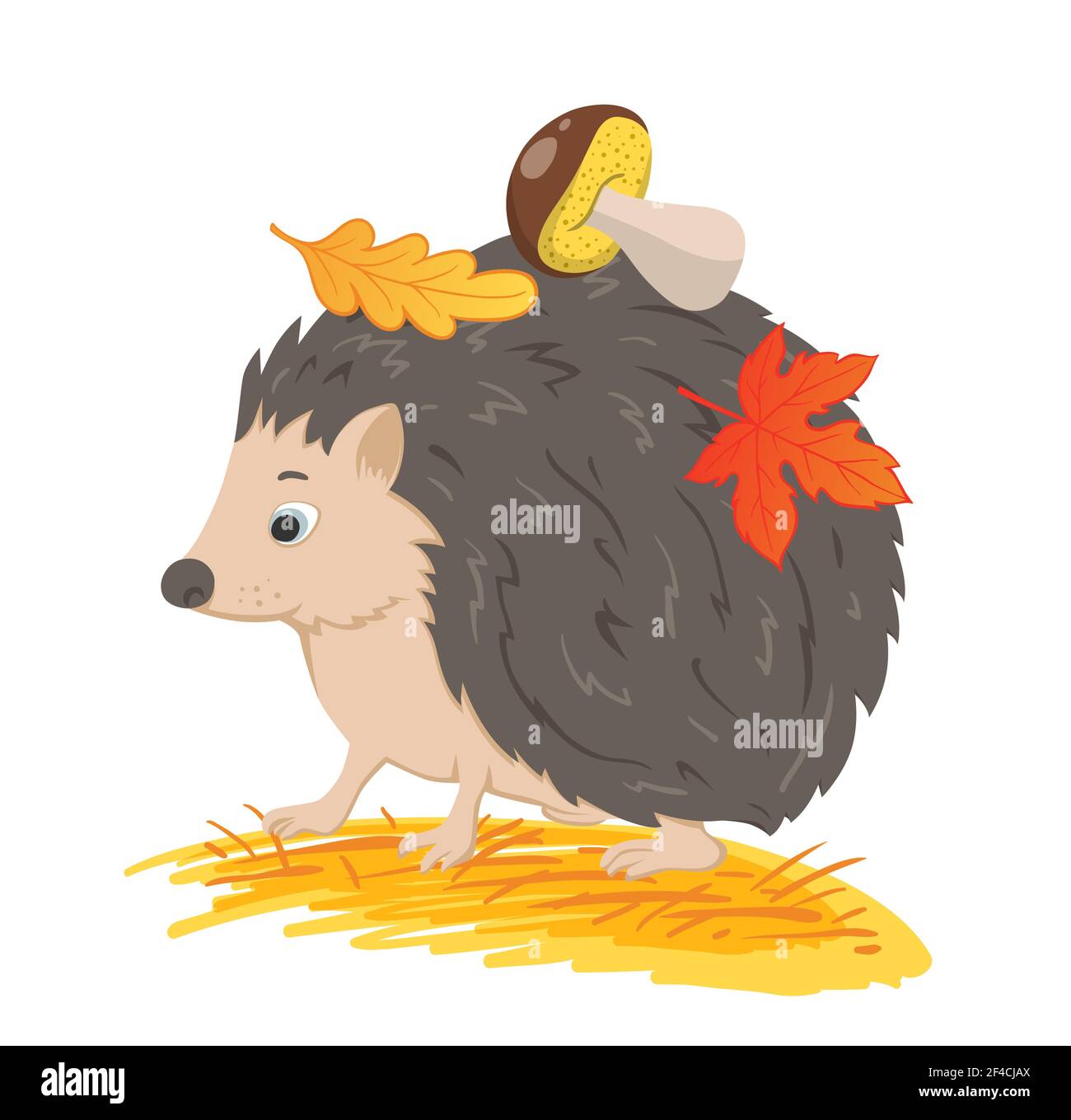 Cute forest hedgehog with autumn leaves and mushroom on a white background. Vector illustration Stock Vector