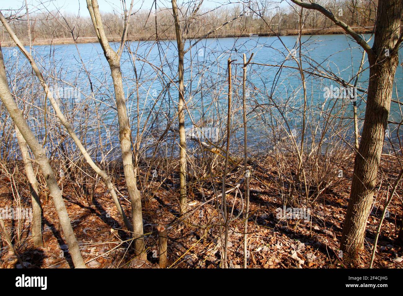 Antrim Lake, Columbus, Ohio Stock Photo Alamy