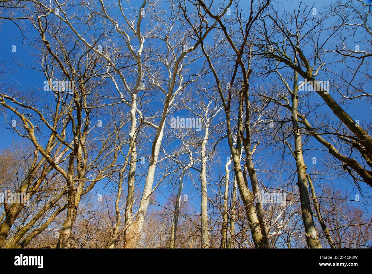 Antrim Lake, Columbus, Ohio Stock Photo Alamy