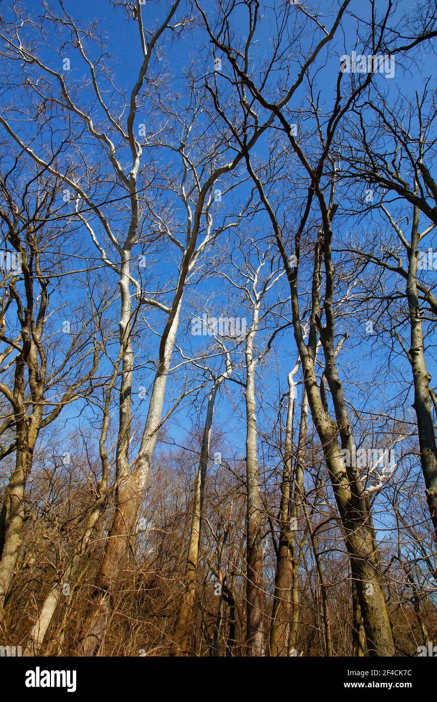 Antrim Lake, Columbus, Ohio Stock Photo Alamy