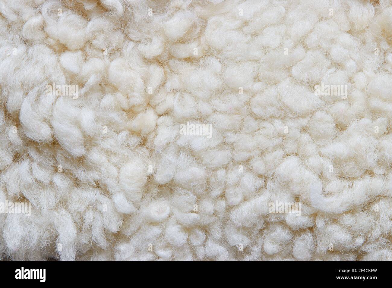 White soft wool background, detail of a natural sheepskin rug. Stock Photo