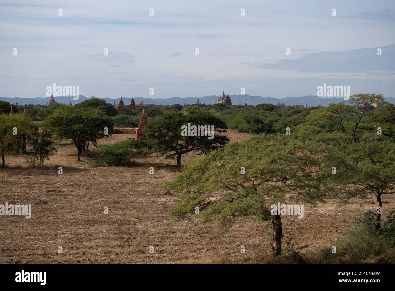 BAGAN, NYAUNG-U, MYANMAR - 3 JANUARY 2020: Several old and historical temple pagodas and green vegetation in the distance from an open dry grass and h Stock Photo