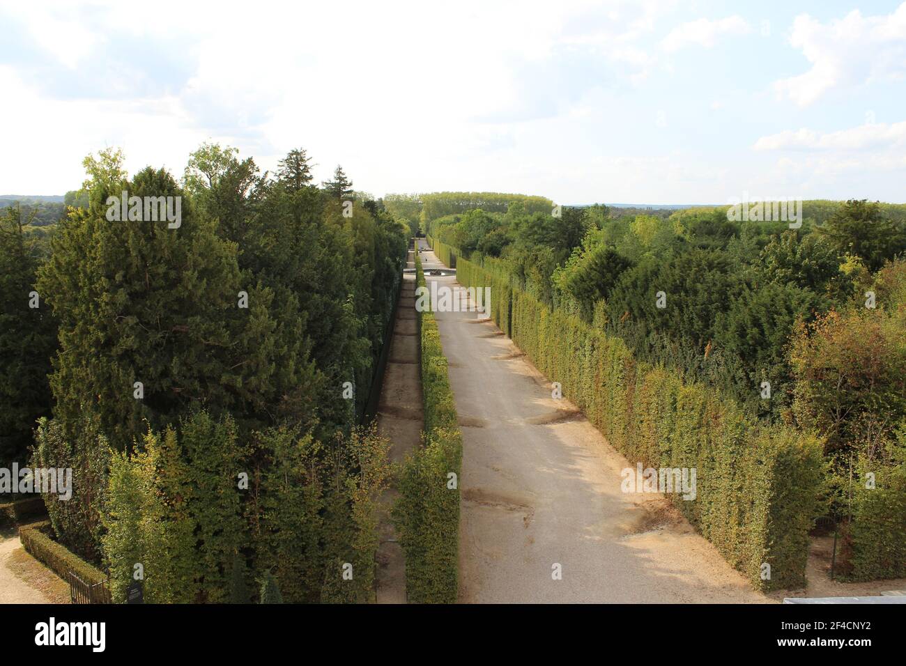 garden with dirt road, surrounded by bushes and trees Stock Photo