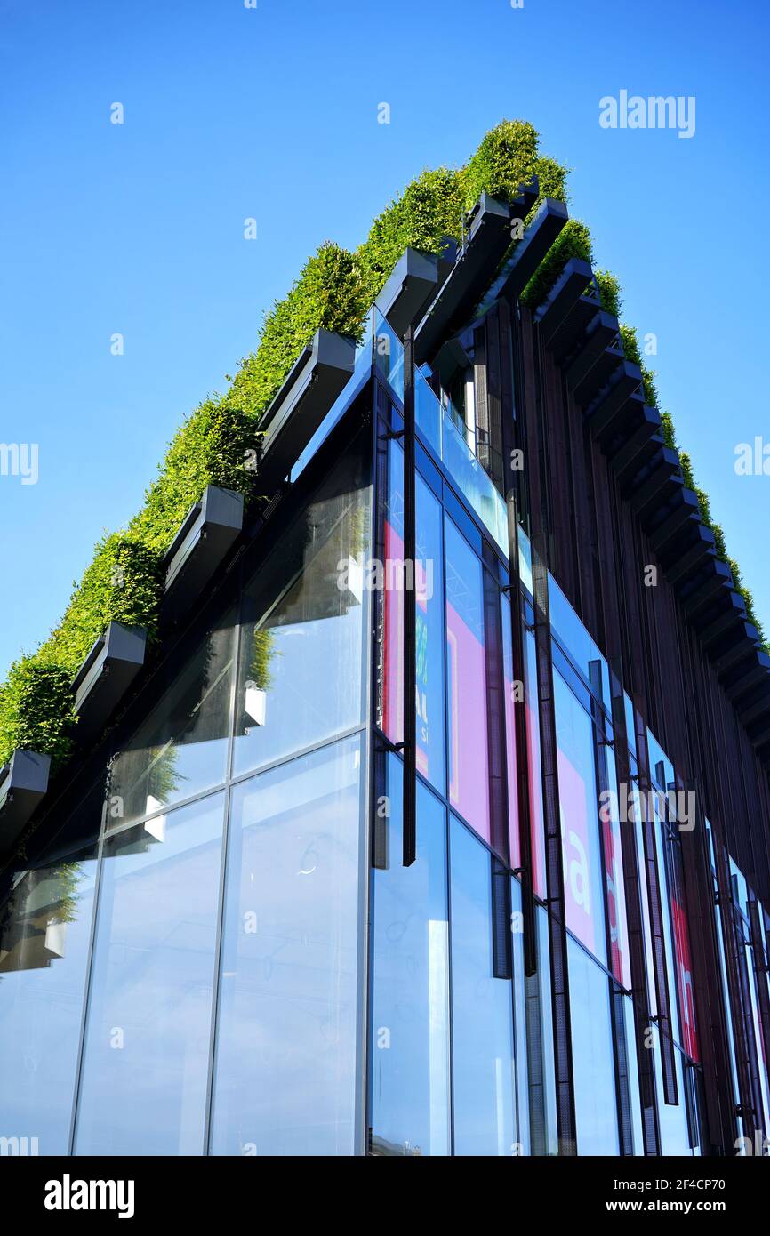 Detail of a building which has been covered by Ingenhoven Architects with hornbeam hedges. Kö-Bogen II is a unique project to make the city greener. Stock Photo