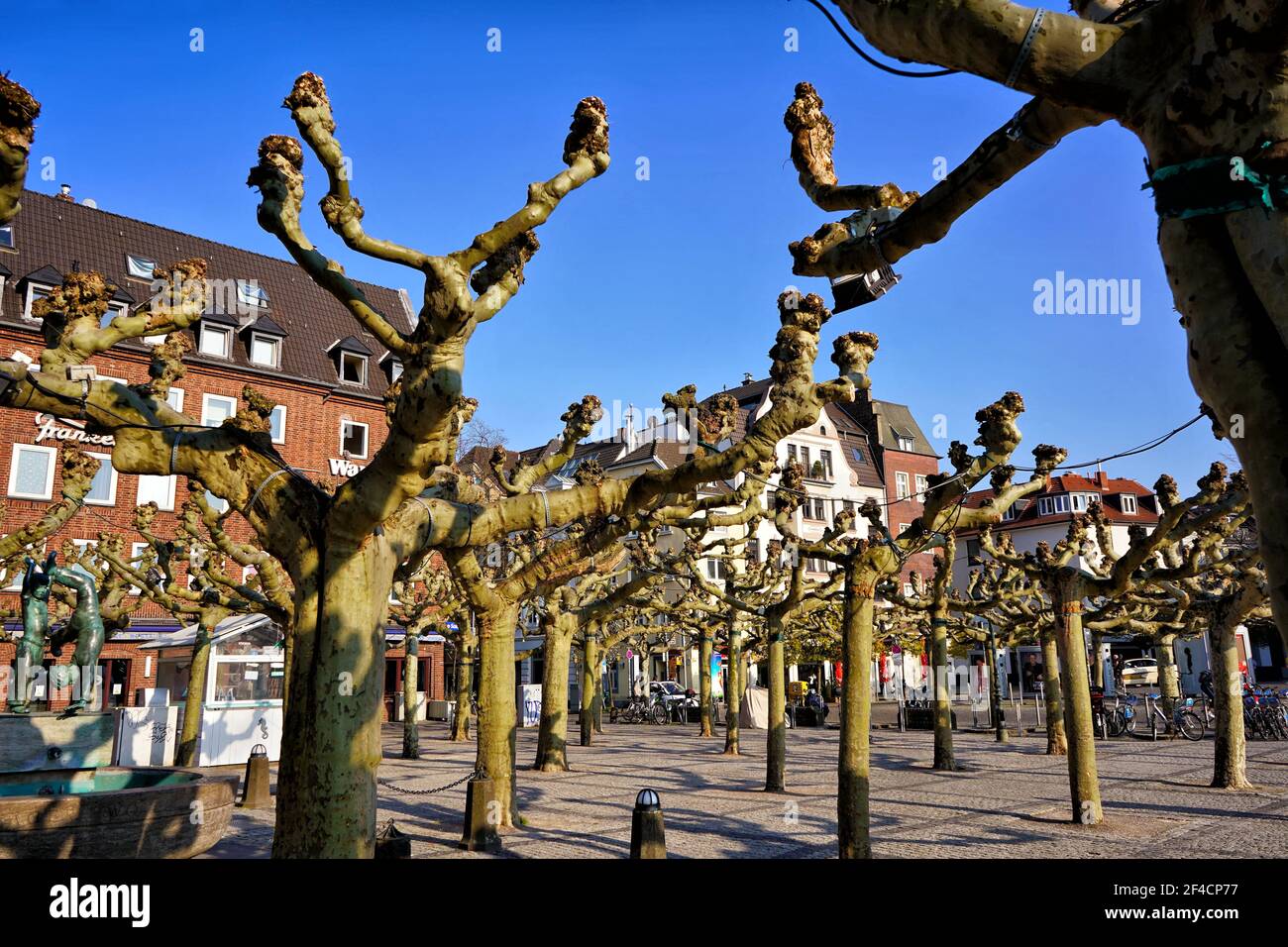 The historic Burgplatz in Düsseldorf Old Town near Rhine river, with old plane trees in the foreground. Stock Photo