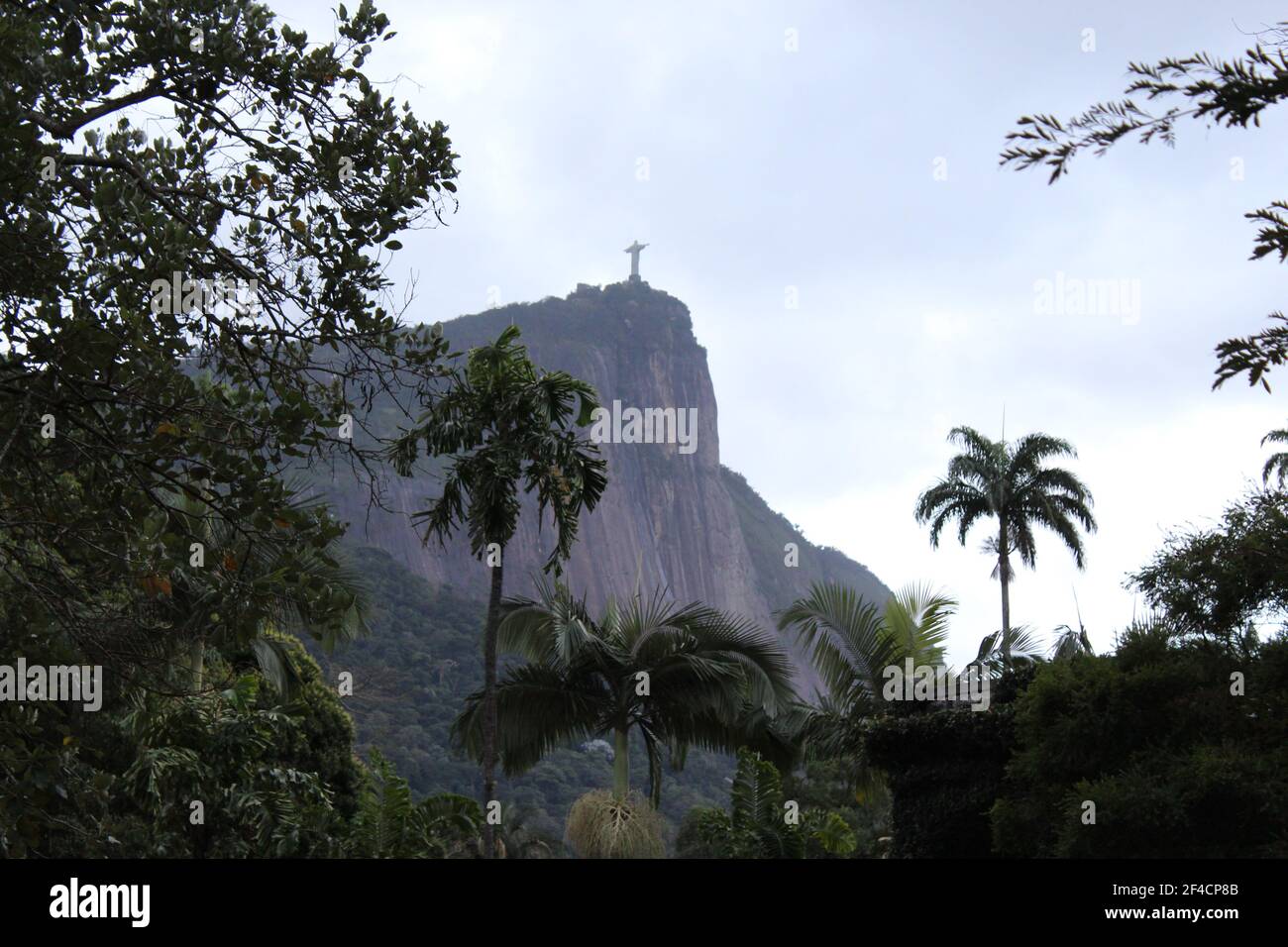 panoramic landscape from the botanical garden to the hill of corcovado with blurred background Stock Photo