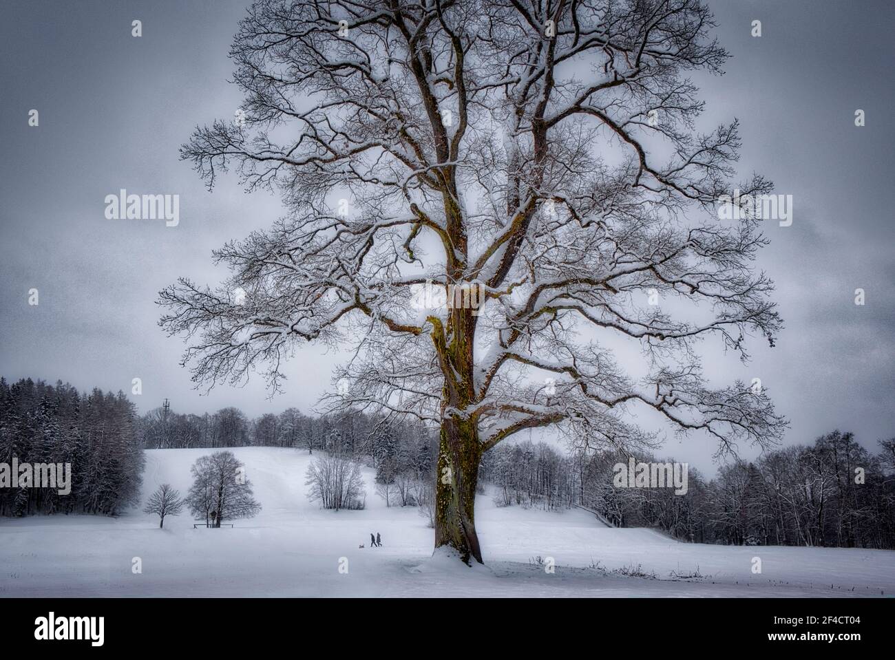 DE - BAVARIA: Wintertime near Bad Toelz Stock Photo