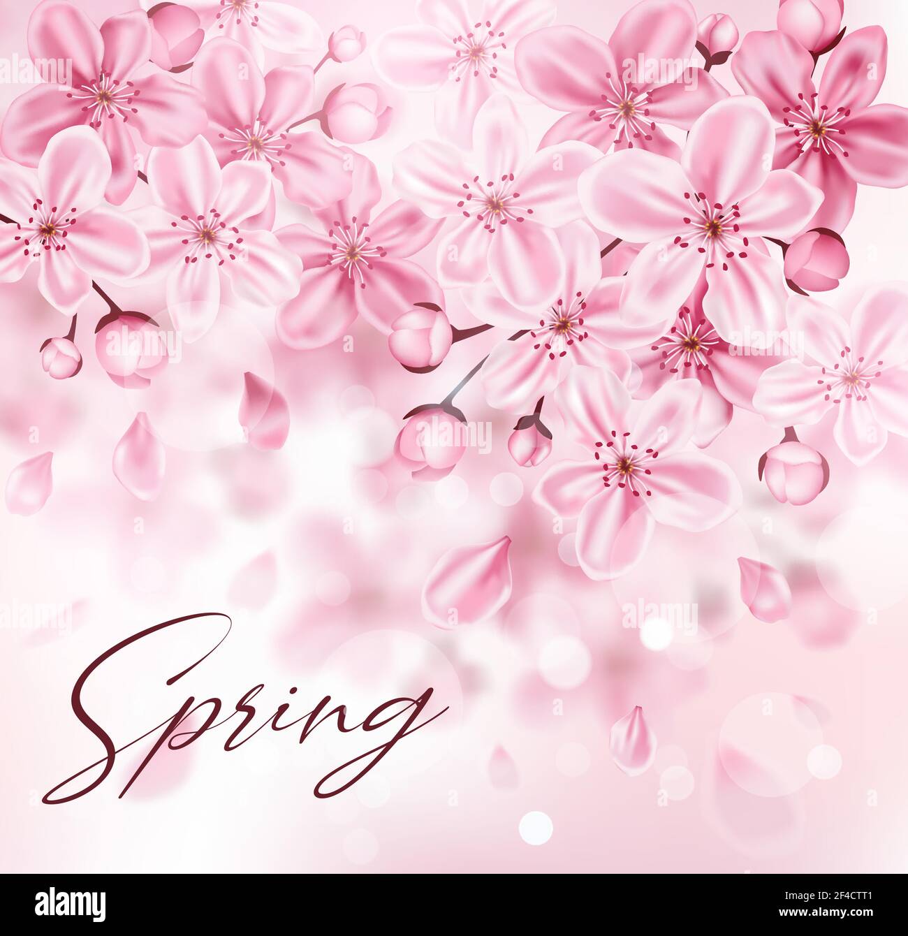 Spring background with pink flowering cherry branch. Sakura blossom. Vector illustration. Stock Vector