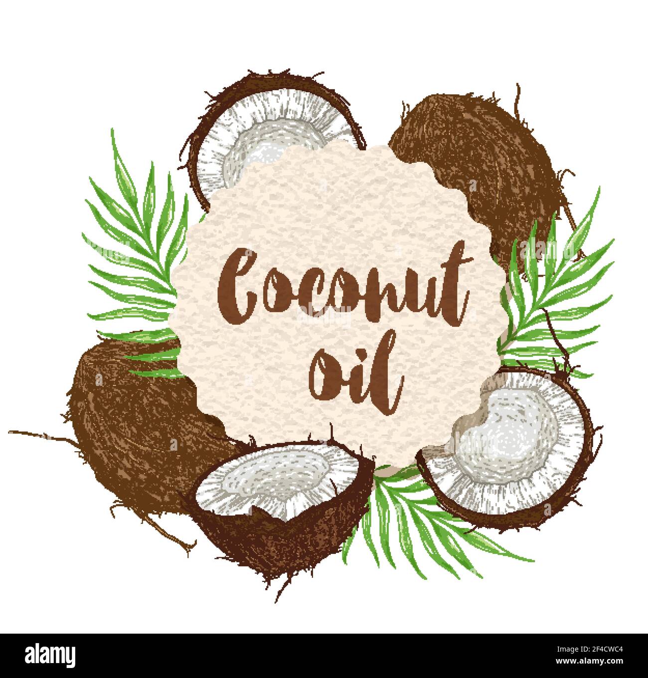 Round paper label with coconuts and green palm leaves on a white background. Vector illustration Stock Vector