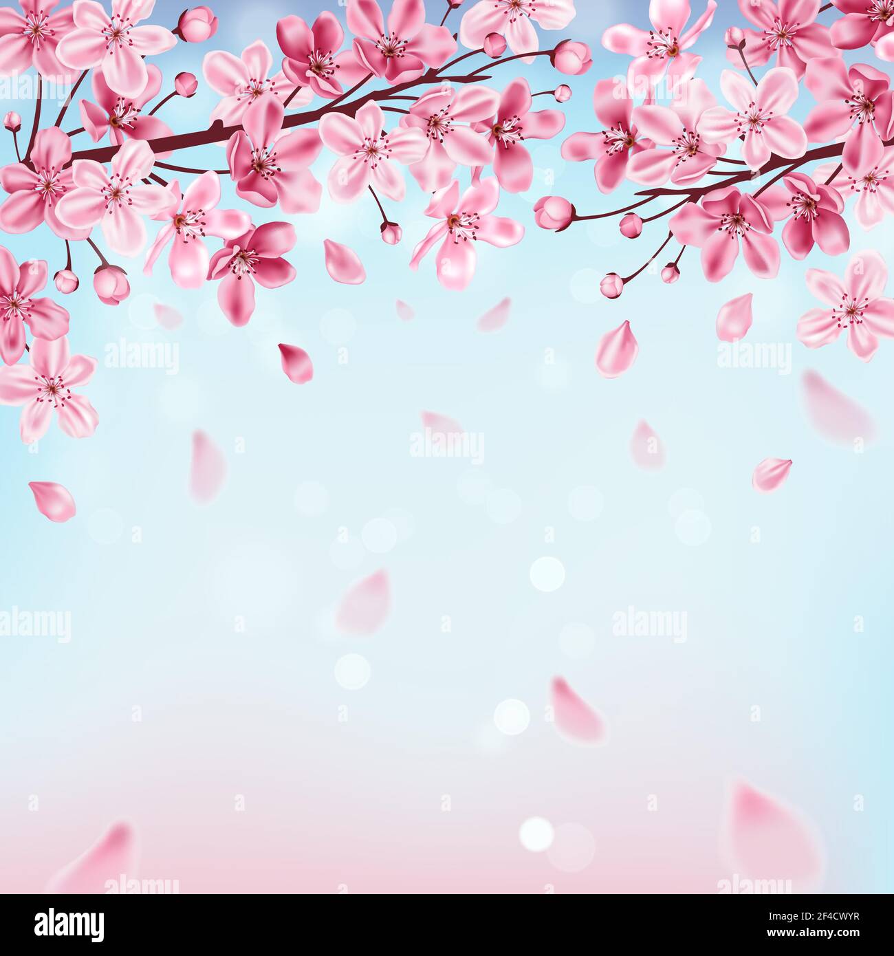 Spring background with pink flowering cherry branch and blue sky. Sakura blossom. Vector illustration. Stock Vector