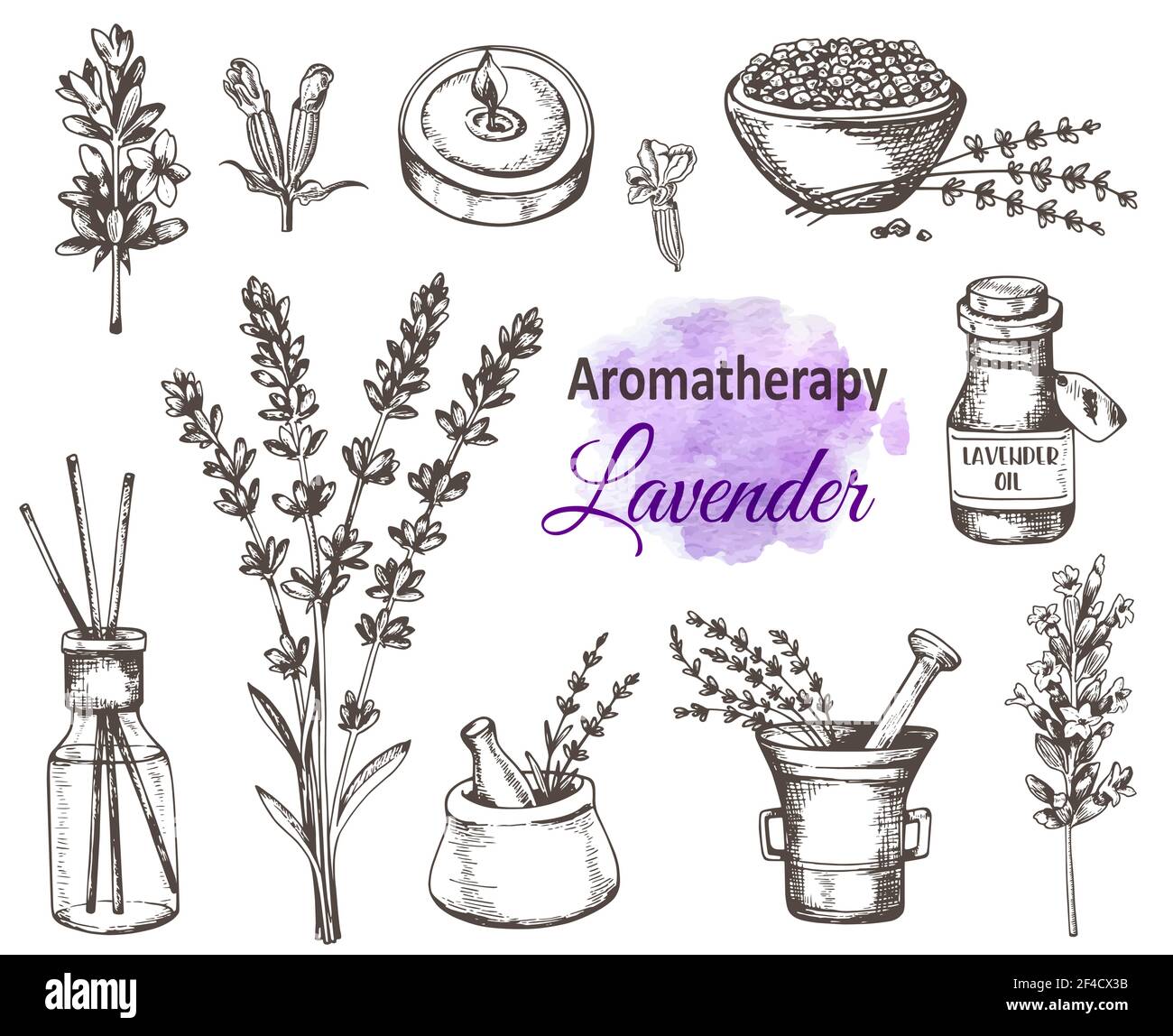 Set of hand drawn vintage lavender flowers and perfumed aromatherapy ...