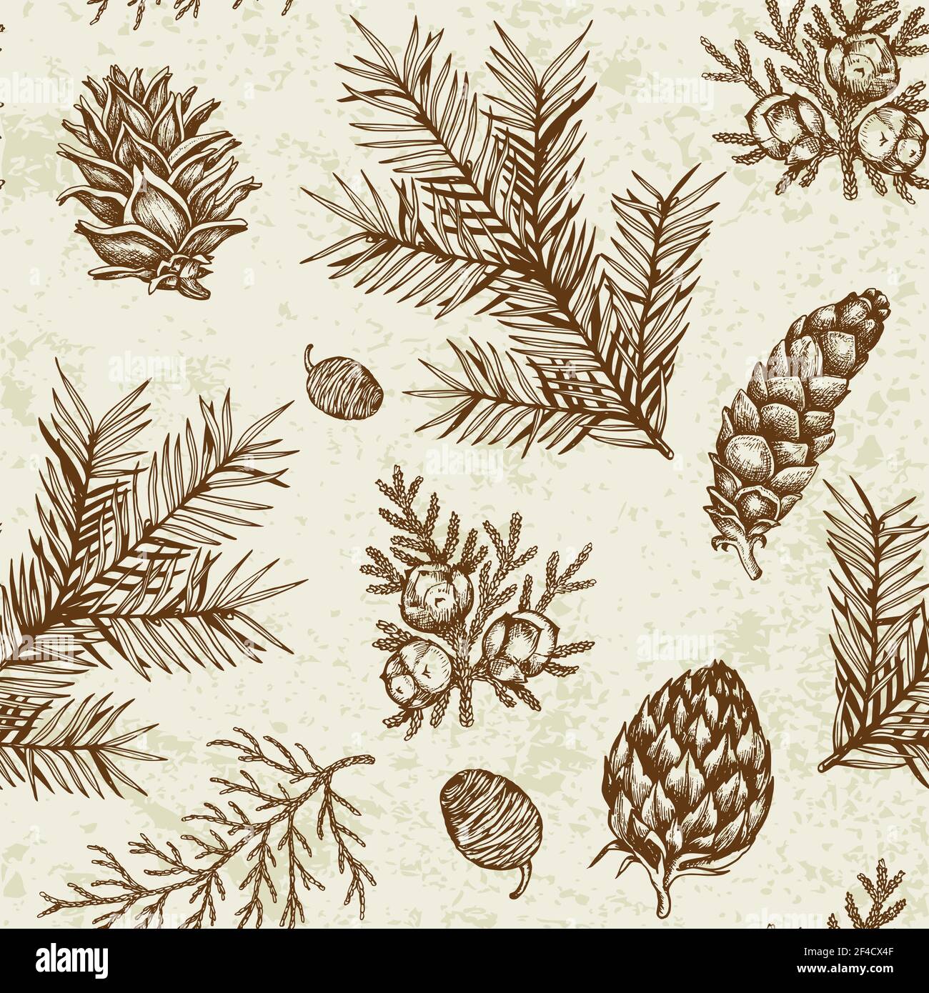 Vintage winter seamless pattern with evergreen plants. Decorative background for Christmas and new year. Hand drawn vector pattern. Stock Vector