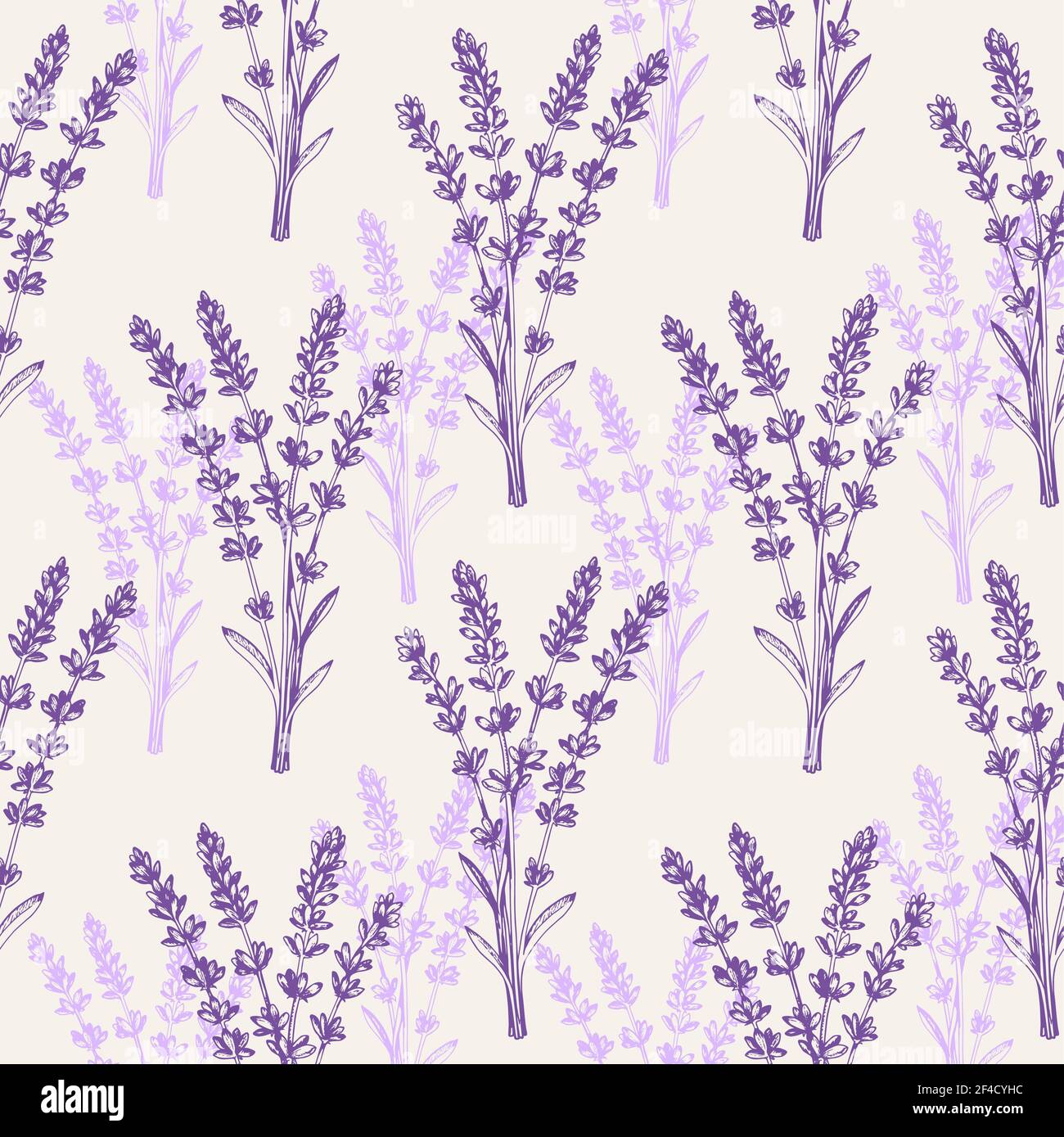 Vintage seamless pattern with lavender flowers. Spa and aromatherapy ingredients. Hand drawn vector background Stock Vector