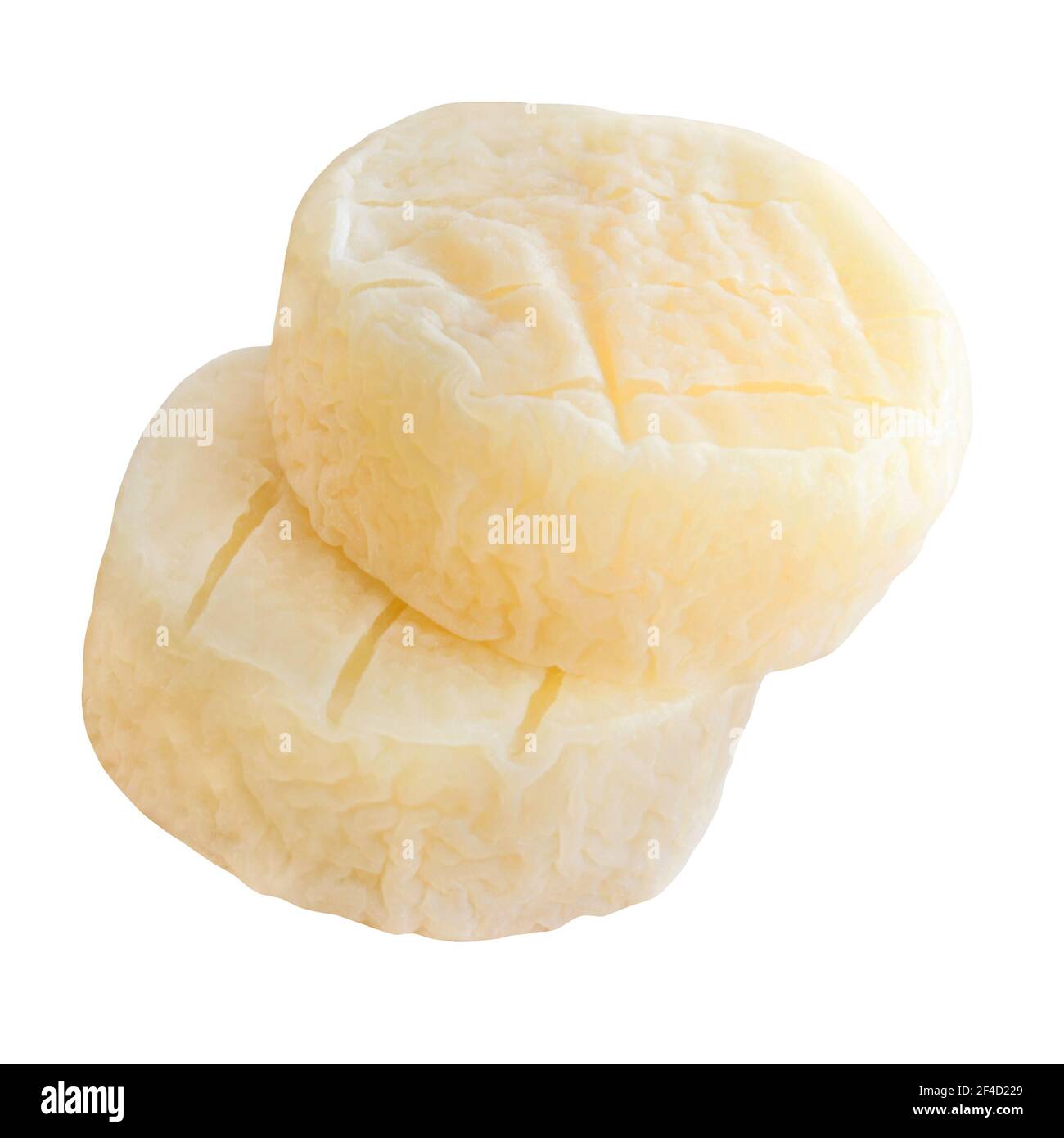 Harzer Käse und weisser Hintergrund Freisteller Stock Photo