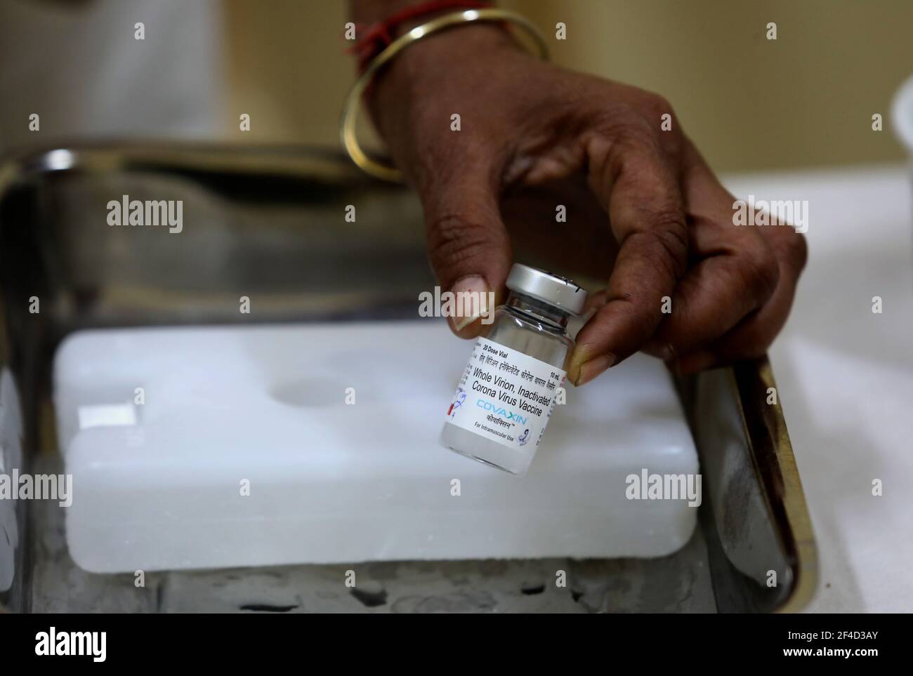 A health worker hold a vial of COVAXIN Covid-19 vaccine developed by Bharat Biotech at a government dispensary during the countrywide vaccination drive.Vaccination drive has been initiated to cover citizen above 60 years and above 45 years of age suffering from comorbid conditions. Stock Photo