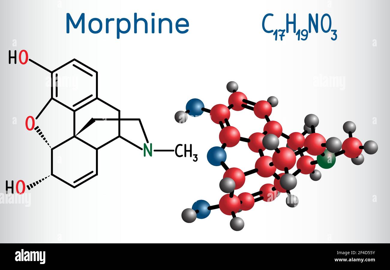 Morphine molecule. It is a pain medication of the opiate. Structural chemical formula and