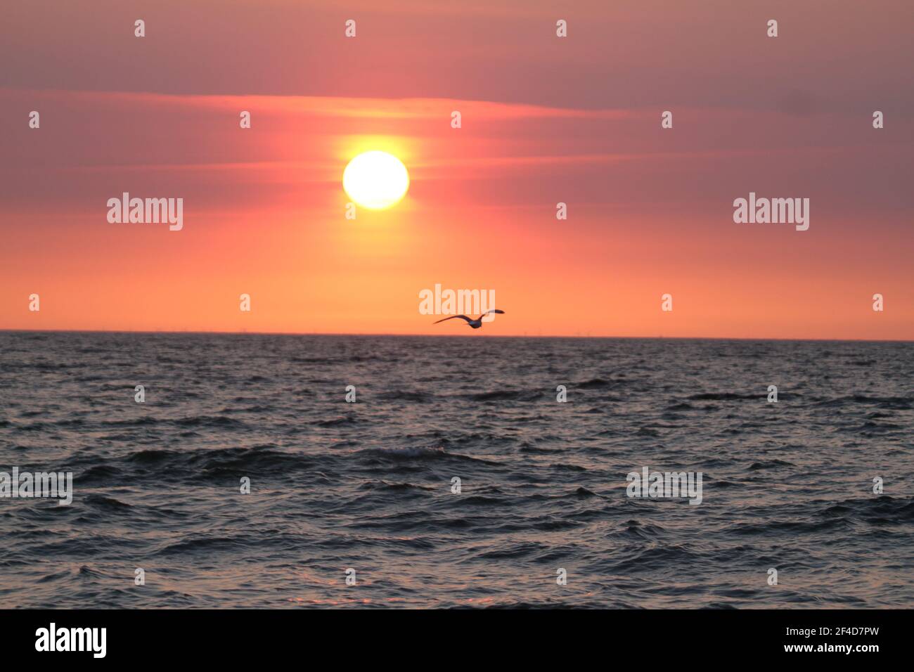 sunrise over ocean Stock Photo - Alamy