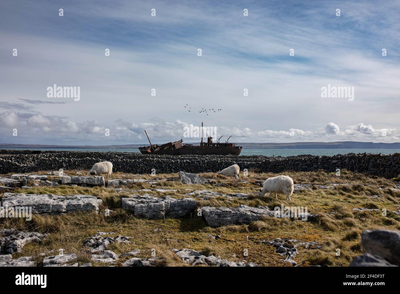 Ship wreck on aran islands hi-res stock photography and images - Alamy