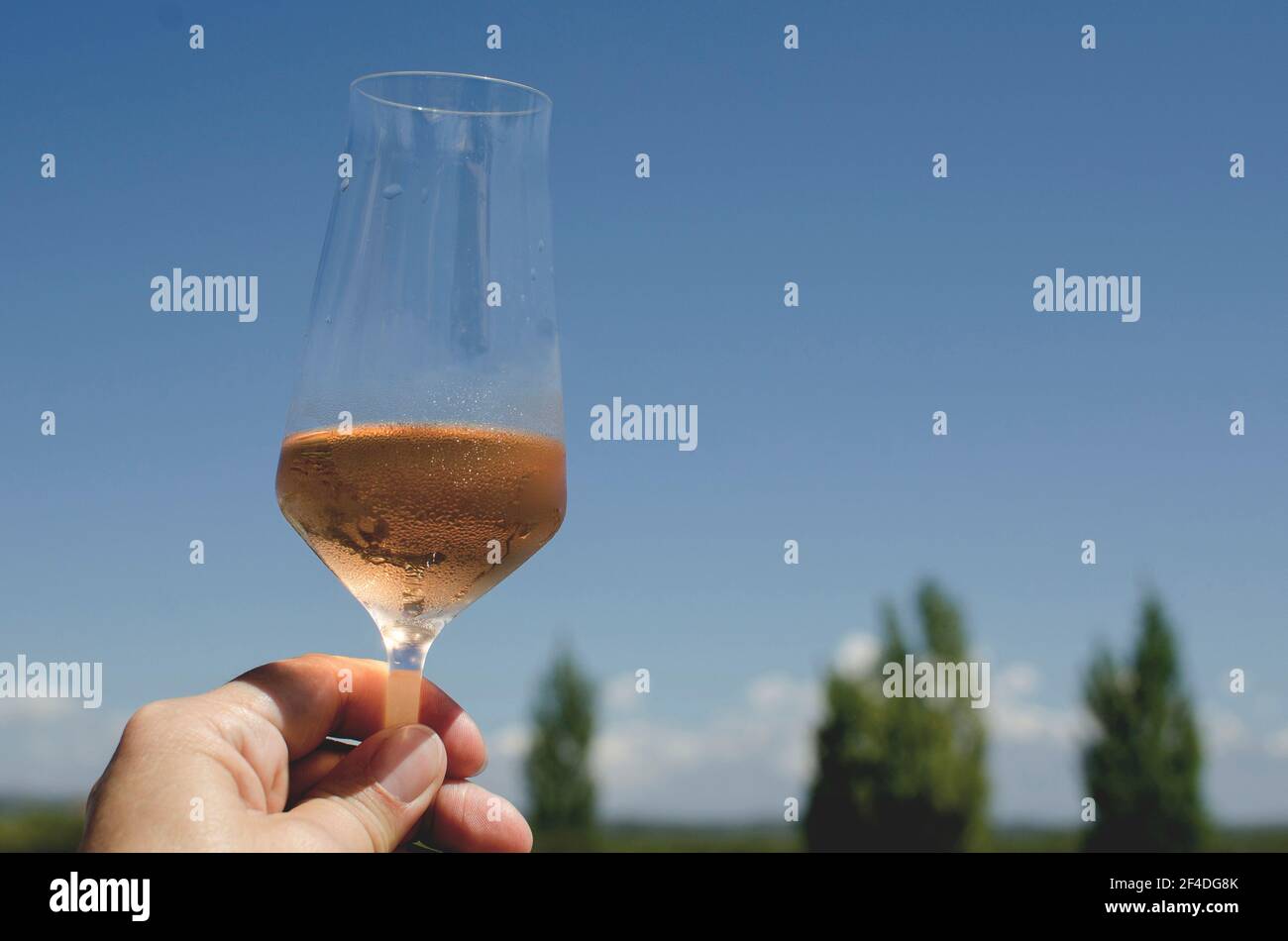 Woman holding a glass of rose champagne against a blue sky, Mendoza, Argentina Stock Photo