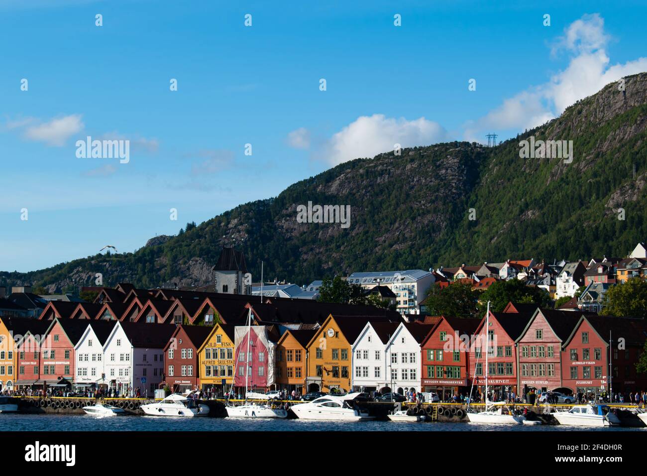 Bryggen street with wooden colored houses in Bergen during sunny summer, Norway Stock Photo