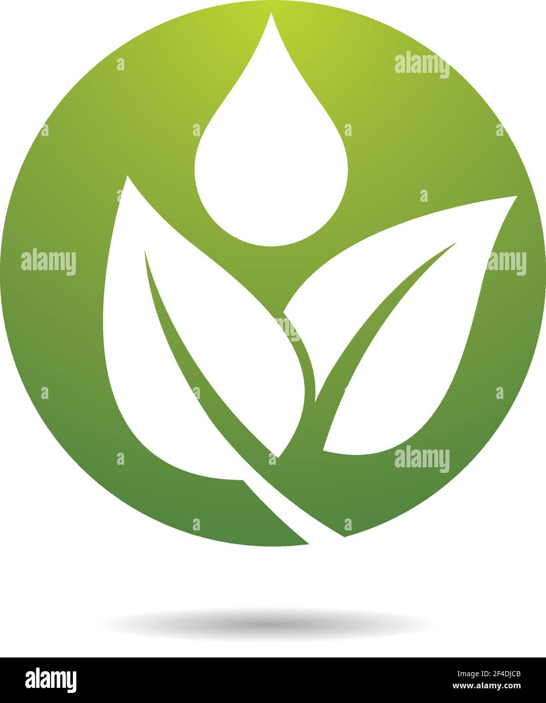 Logos of green leaf ecology nature element vector icon Stock Vector ...
