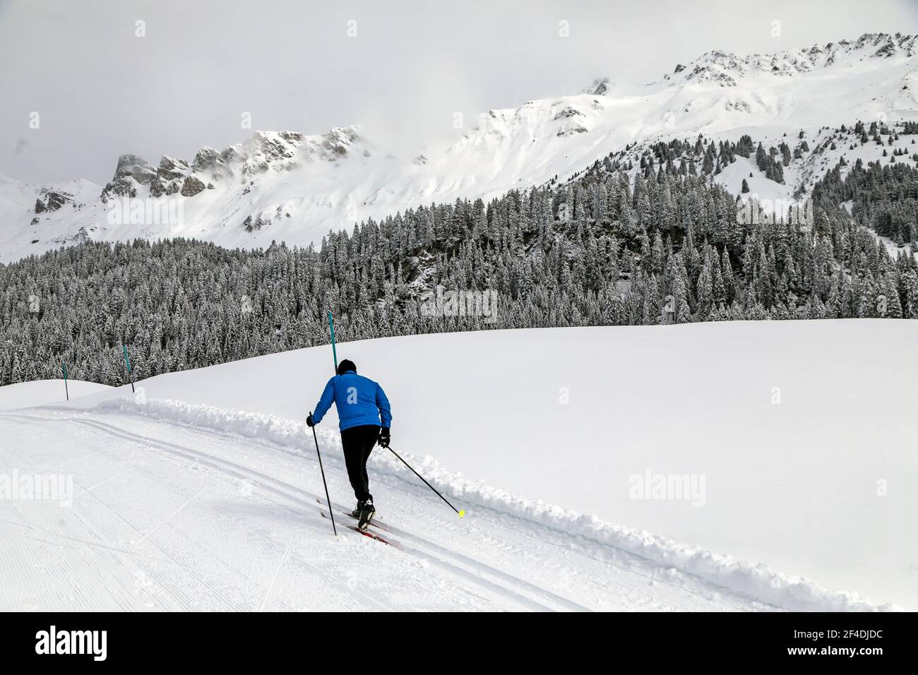 training on a cross-country ski run Stock Photo