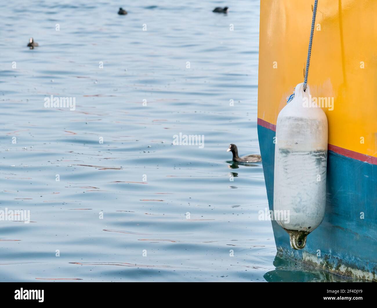 Close up with a white mooring ball and sailing rope Stock Photo Alamy