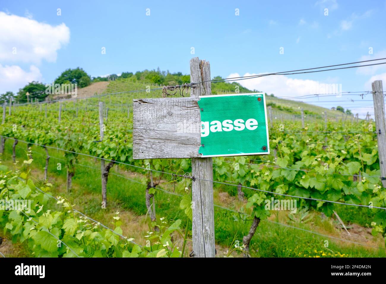 Damaged 'dead end' sign in German vinyards now reading just 'gasse' instead of 'Sackgasse' in the Ahr Valley, Germany in May 2018. Stock Photo