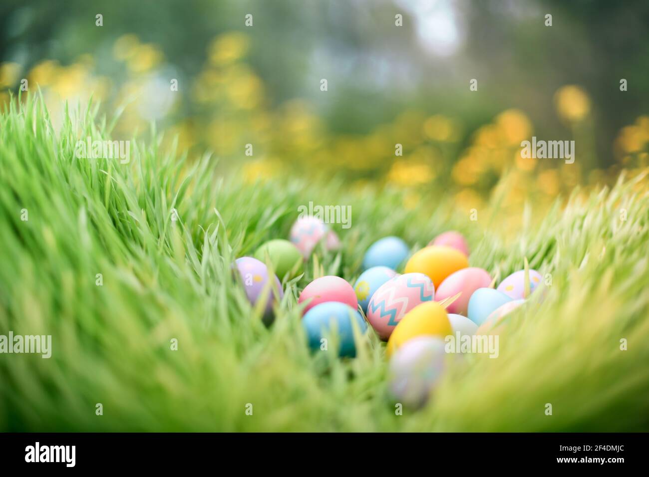 Colorful painted Easter eggs hidden in grass for an Easter egg hunt. Stock Photo