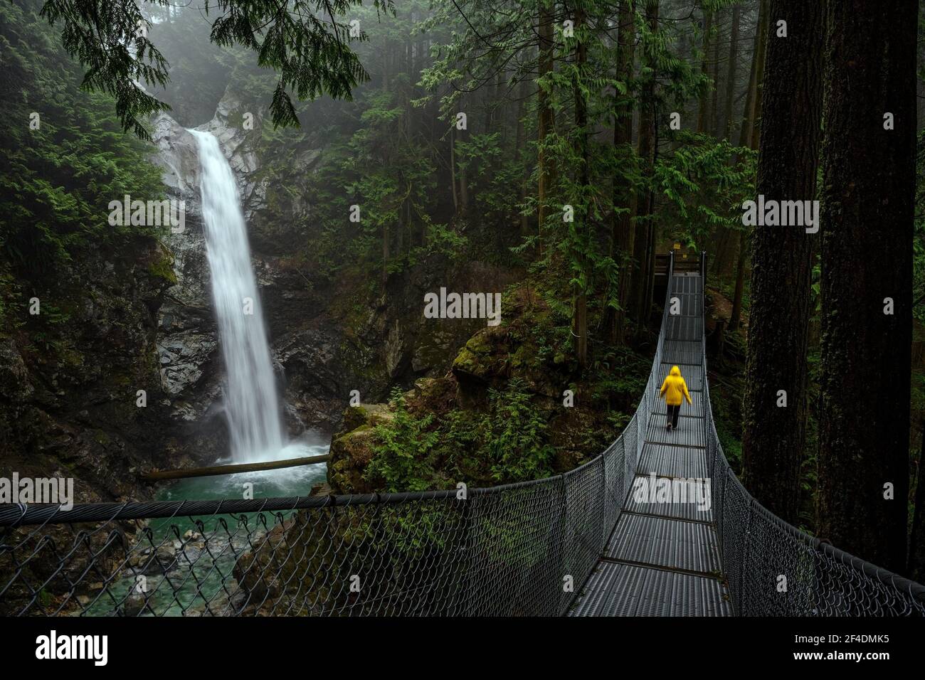 Woman in yellow rain jacket standing on a suspension bridge and watching the Cascade falls, in Cascade falls regional park, Deroche, British Columbia, Stock Photo
