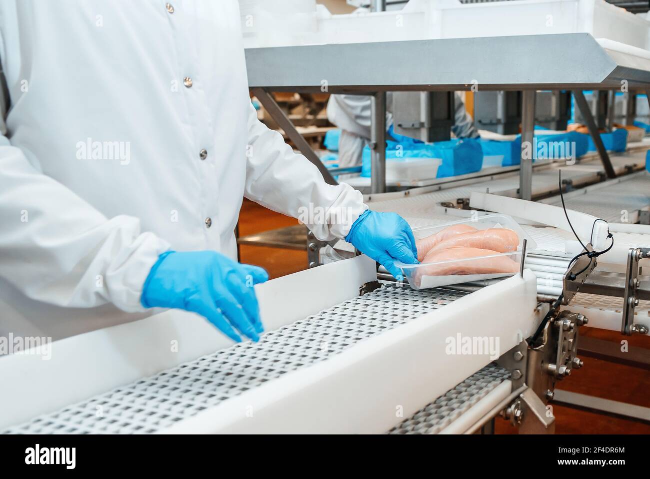 Food products meat chicken in plastic packaging on the conveyor.Chicken ...