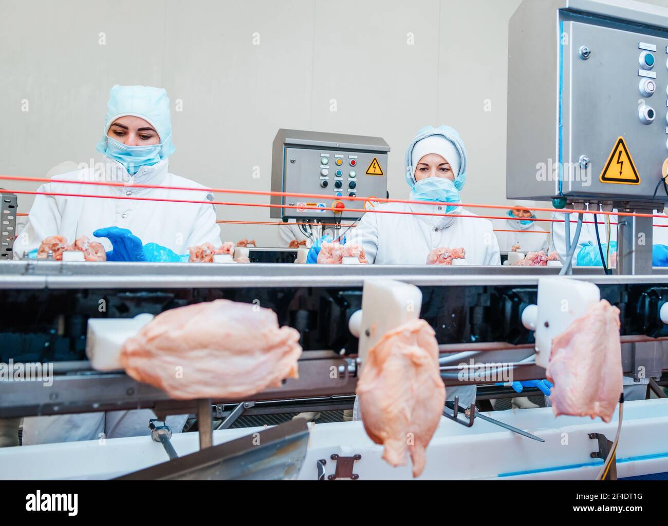Production line in the food factory.Factory for the production of food ...