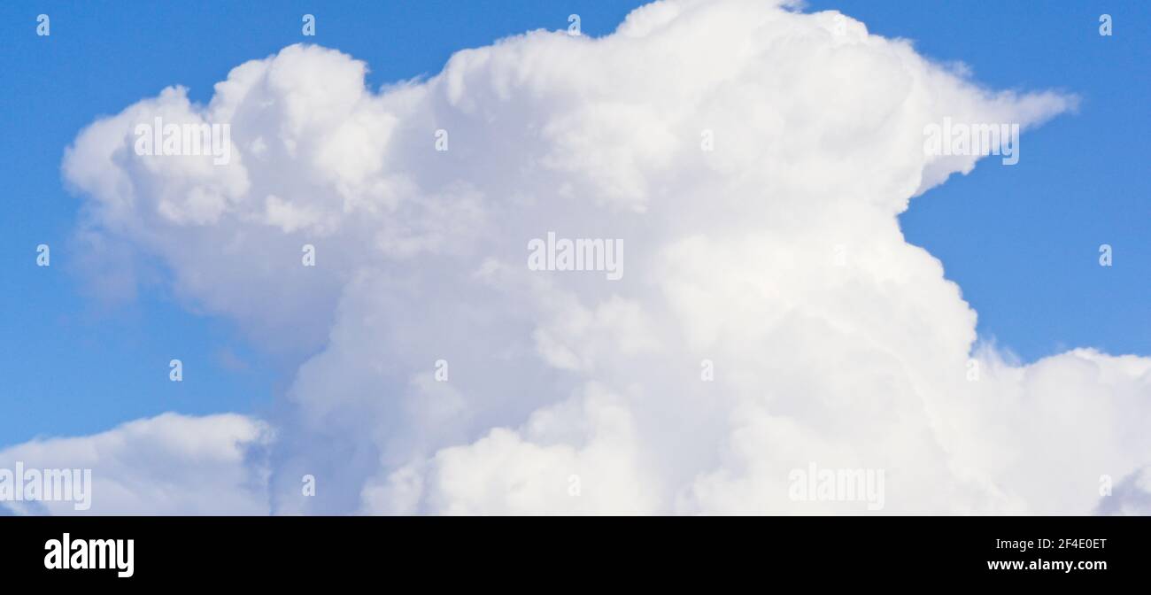 cumulus clouds Calgary Alberta Stock Photo