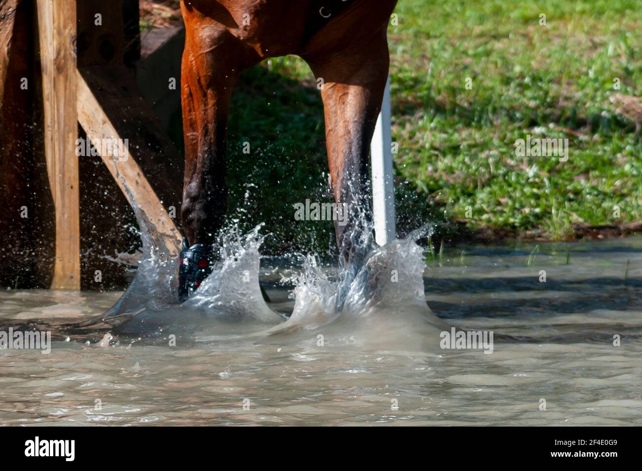 Raeford, North Carolina, USA. 20th Mar, 2021. March 20, 2021 Raeford