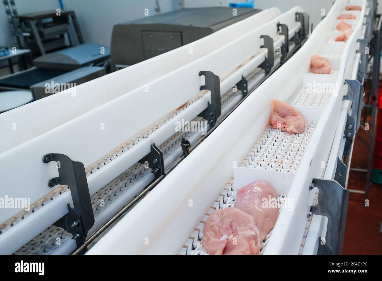 Line for the production of semi-finished meat products. Factory for the ...