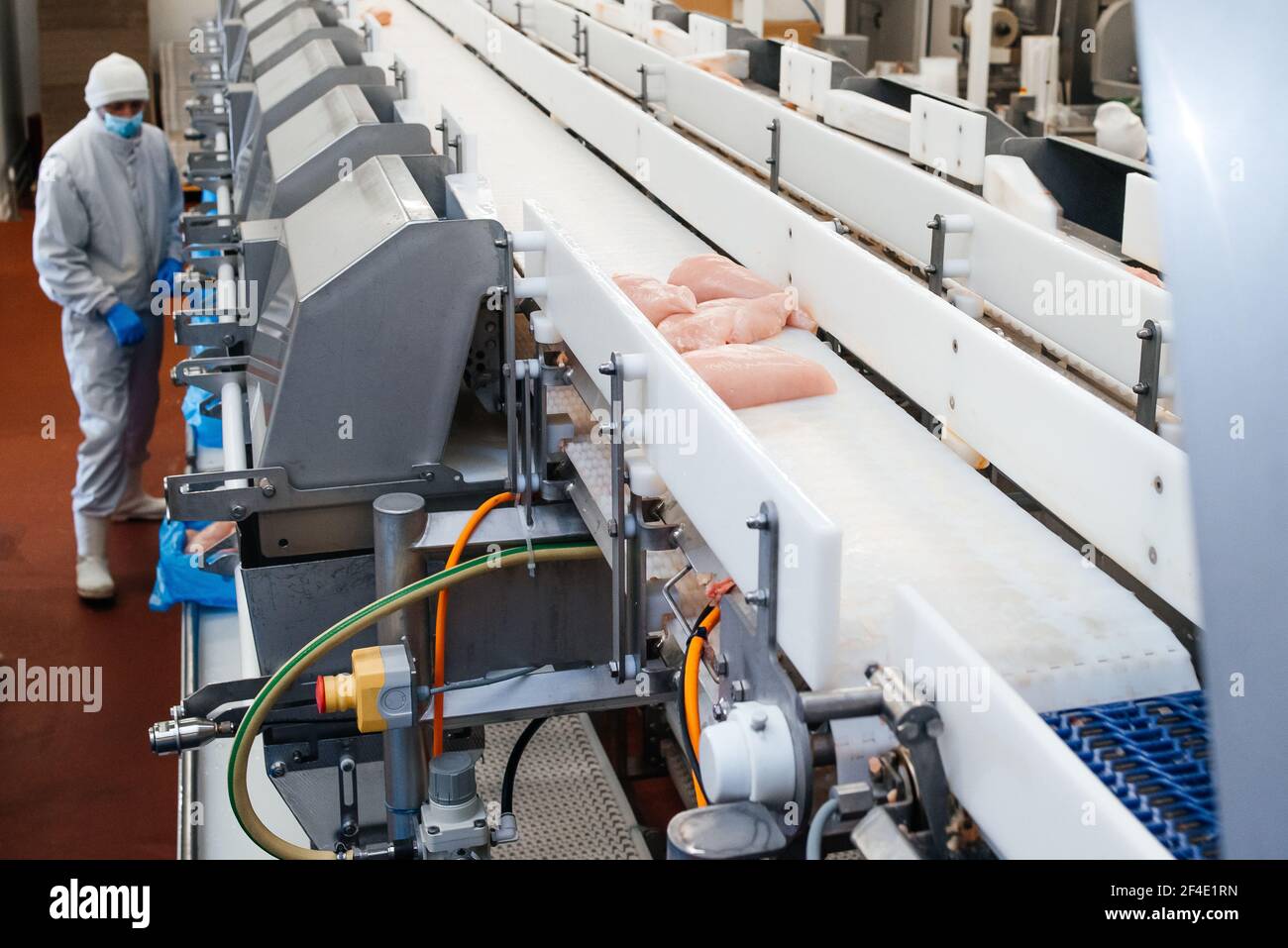 Meat processing equipment. Chicken fillet production . Meat processing plant. Factory for the of food from for the productio Stock Photo - Alamy
