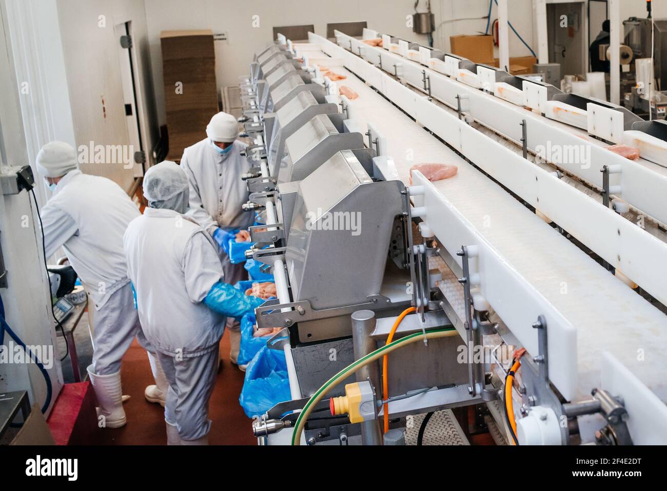 Chicken fillet production line.Factory for the production of food from