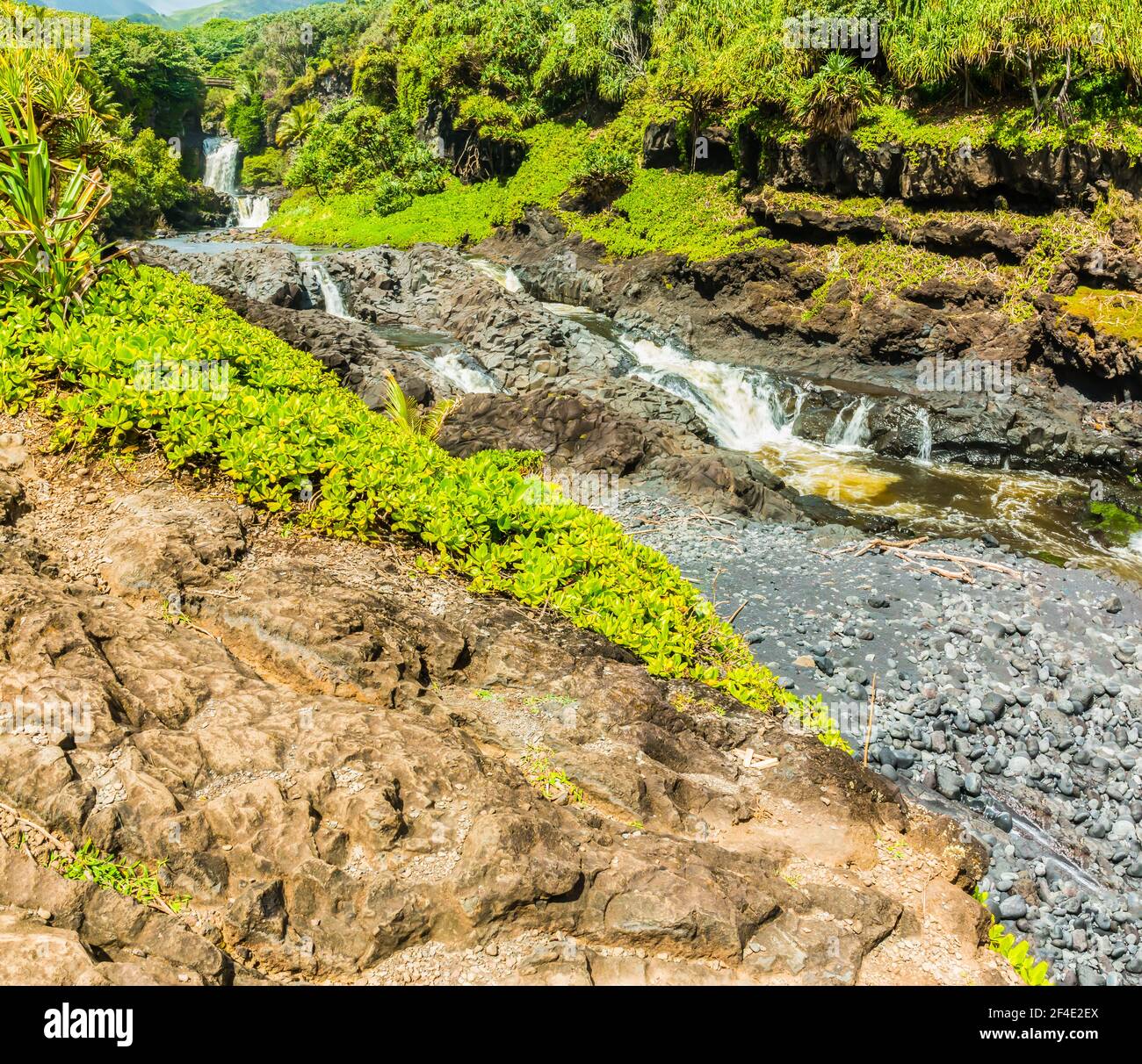 The Pools of Oheo Gulch, Kipahulu District, Haleakala National Park, Maui, Hawaii, USA Stock Photo